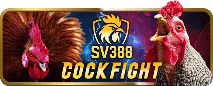 Cá Cược Thể Thao HL8